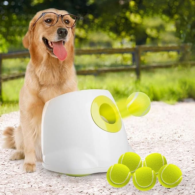 ALL FOR PAWS Maxi Hyper Fetch