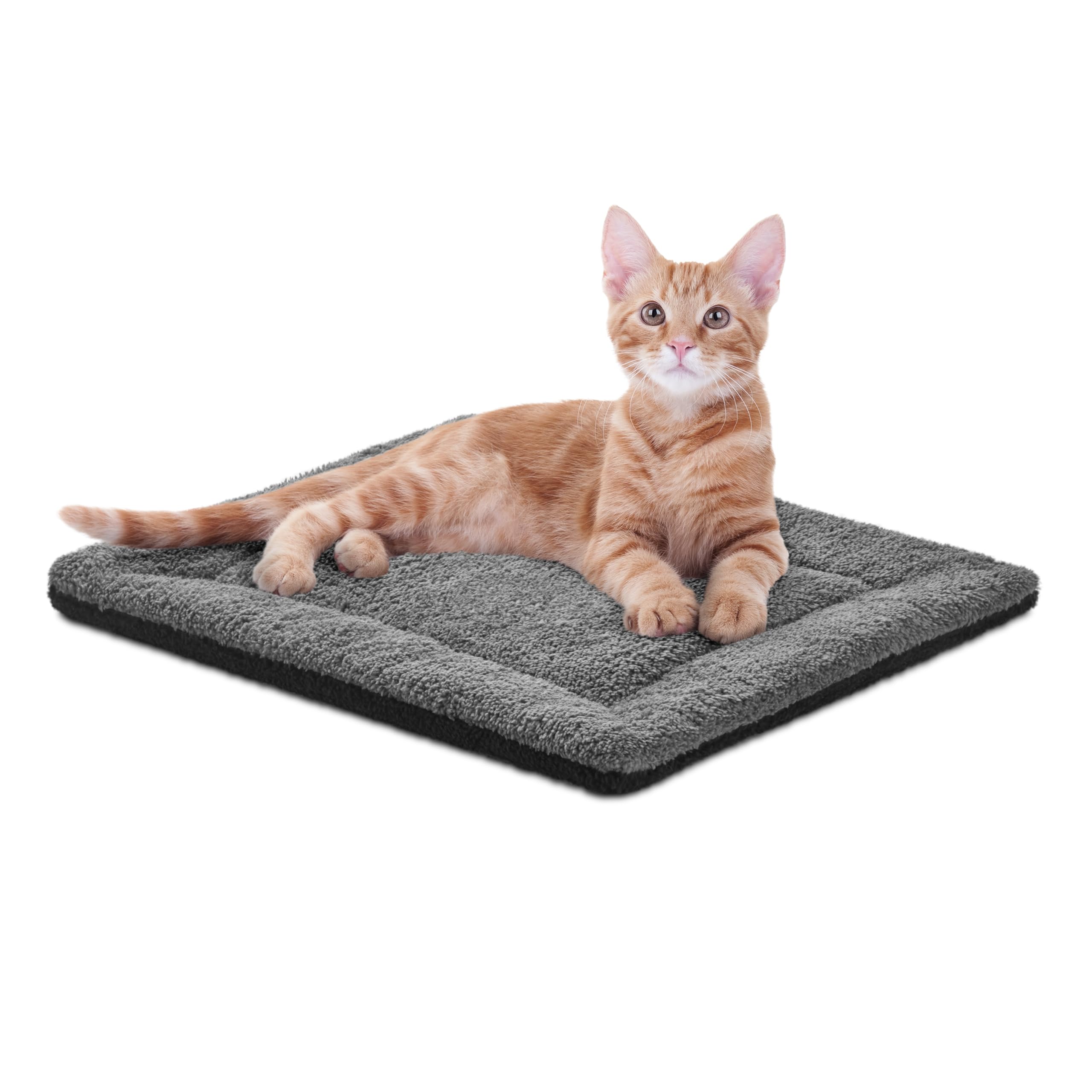 Best Cat Self-Warming Beds in 2026: 3 Cord-Free Picks