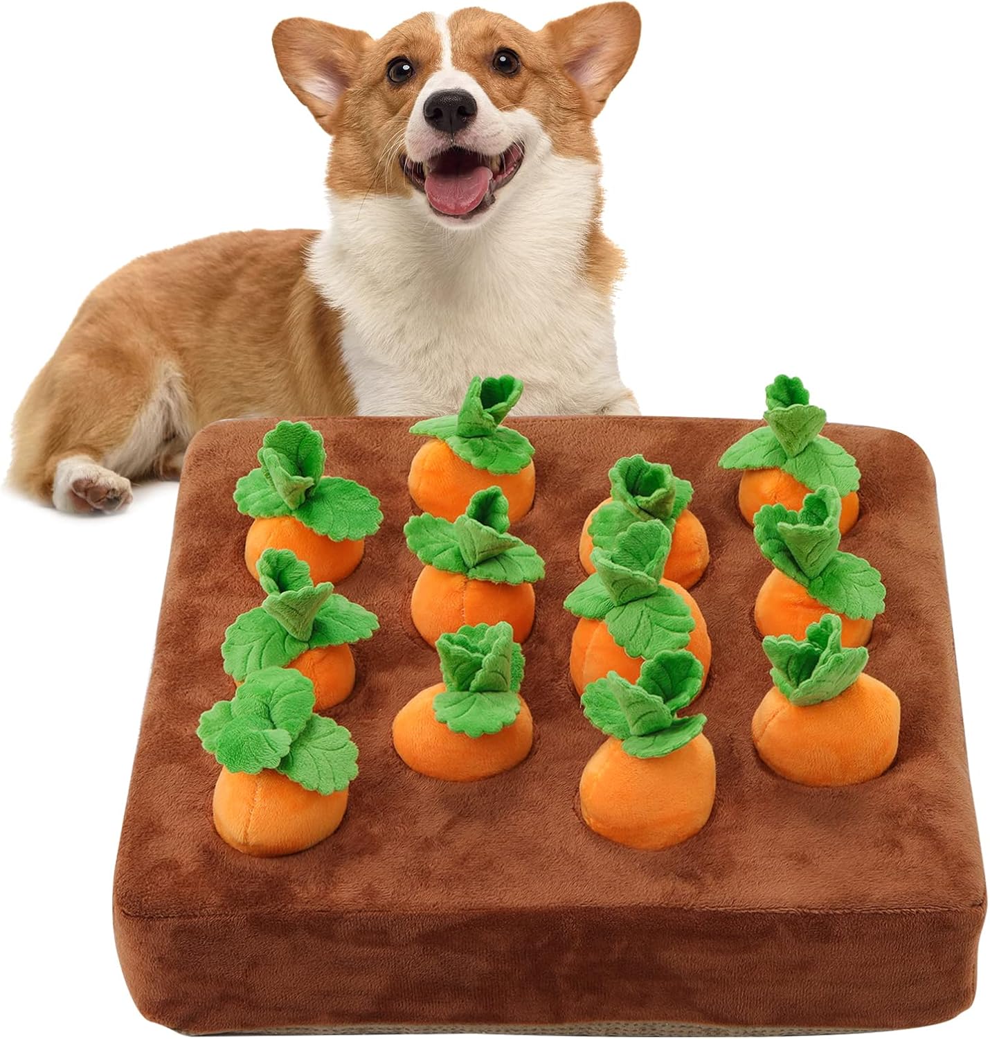 IVVIQQ Carrot Snuffle Mat