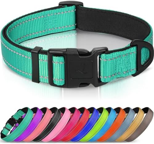 Collar reflectante Joytale de neopreno