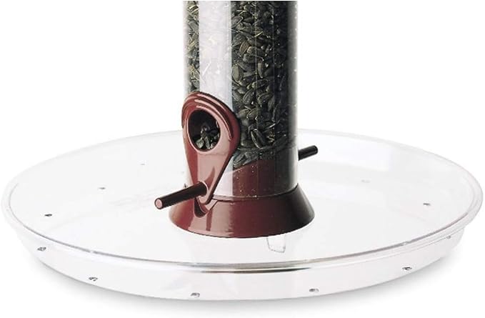 Best bird seed catchers for cleaner feeders in 2026