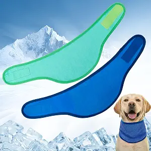 EXPAWLORER PVA Cooling Bandana