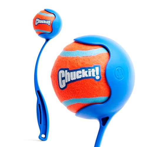 Dog ball launcher mistakes to avoid in 2026: 3 better choices