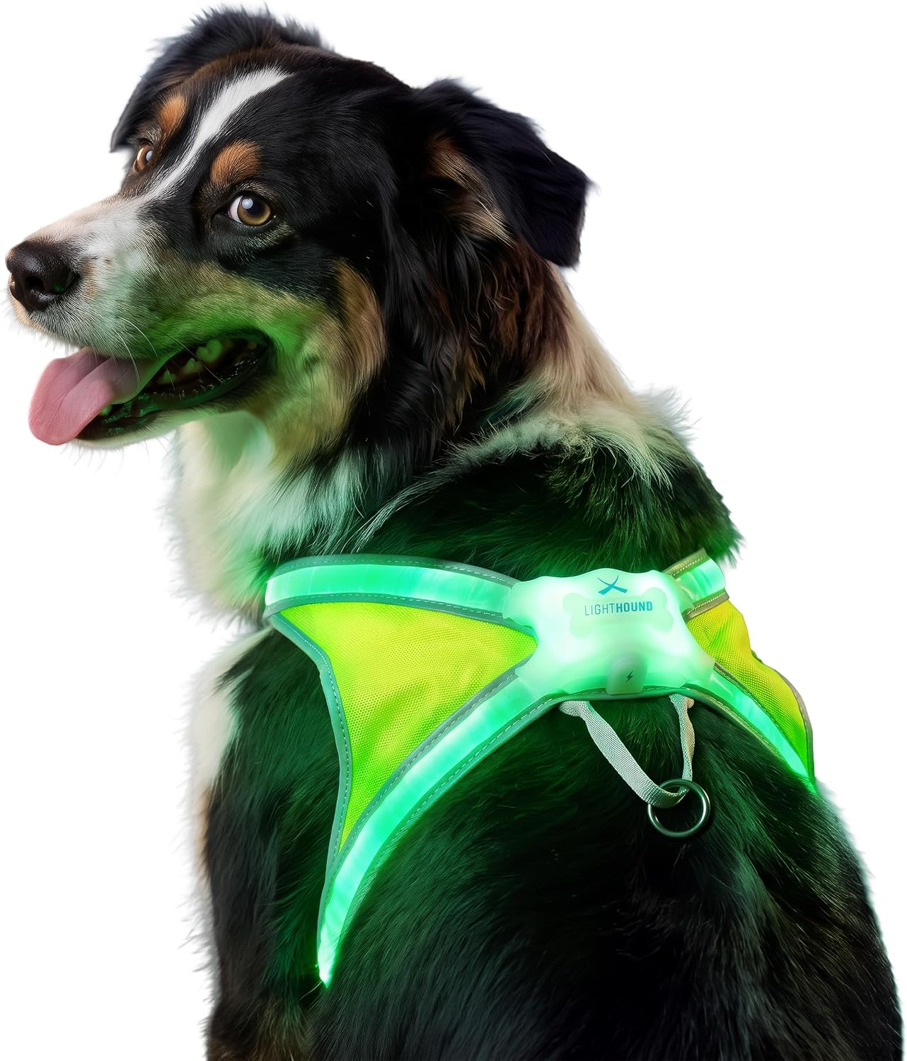 Peitoral luminoso e refletor noxgear LightHound (tamanho L)
