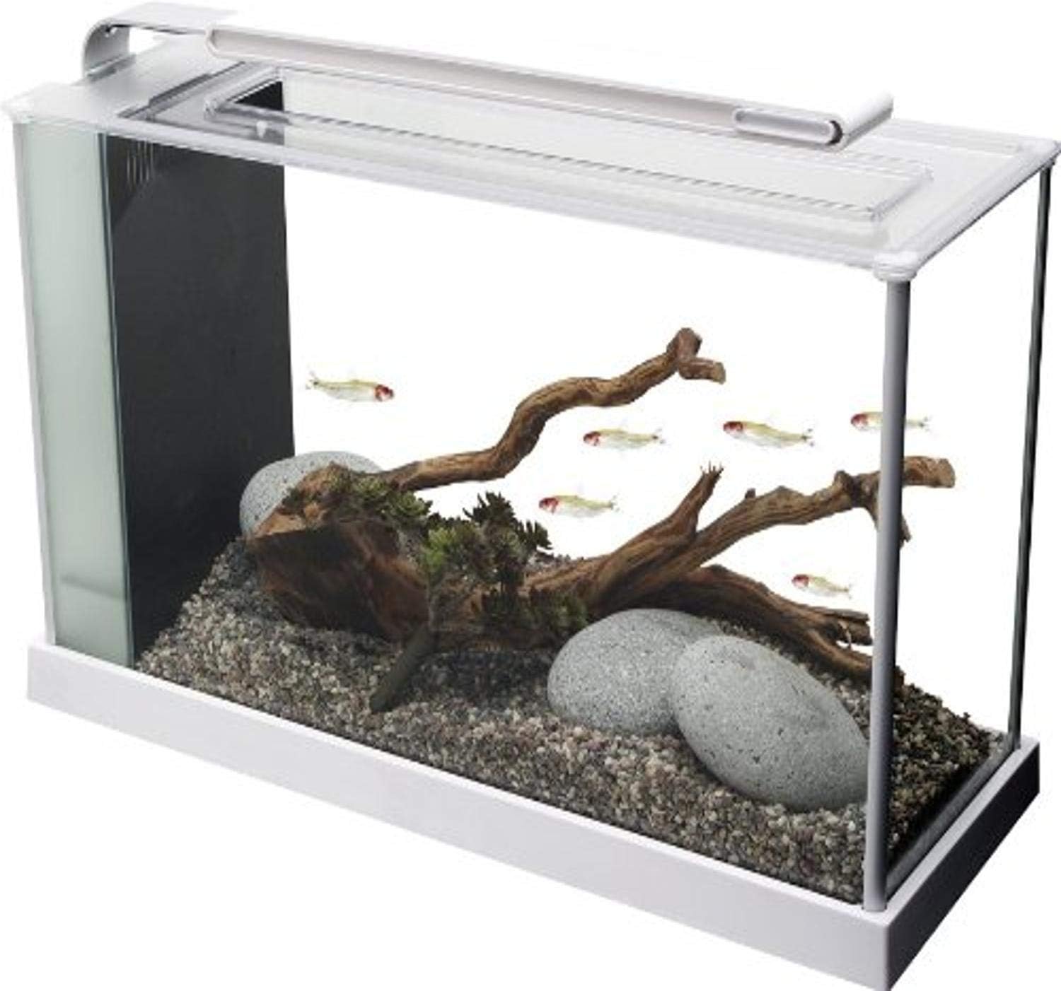 Fluval Spec V Kit de acuario (5 galones)
