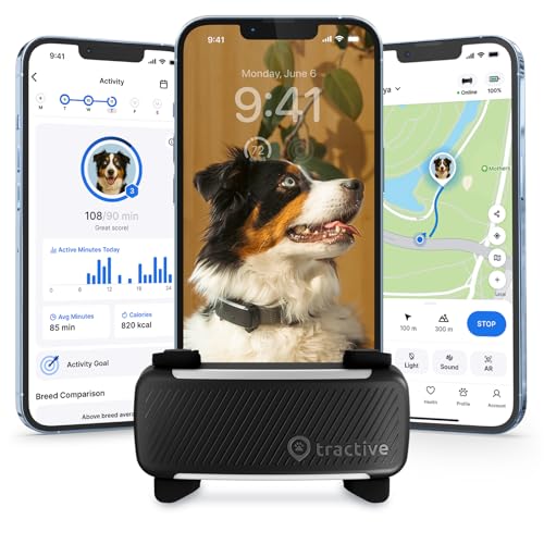 Best dog GPS trackers in 2026: three reliable choices compared