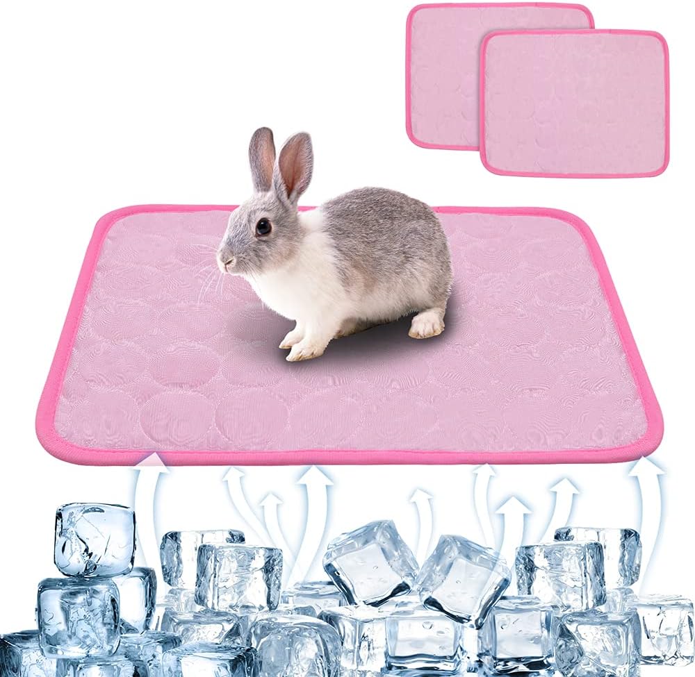 Hilihali Ice Silk Mat Set