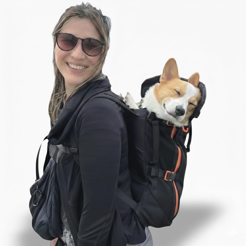 Little Chonk Maxine One Dog Backpack Carrier for Medium Dogs (Black)