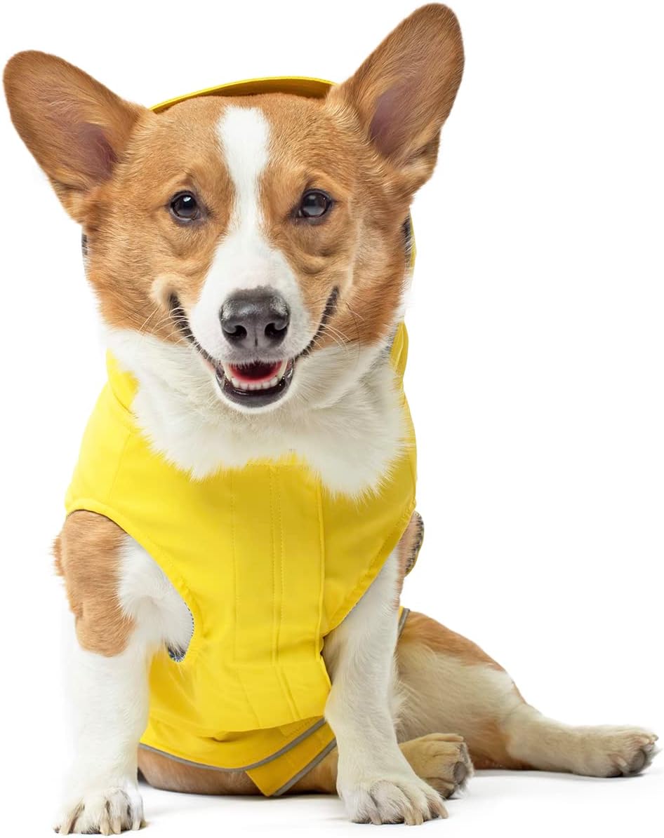 Canada Pooch Torrential Tracker