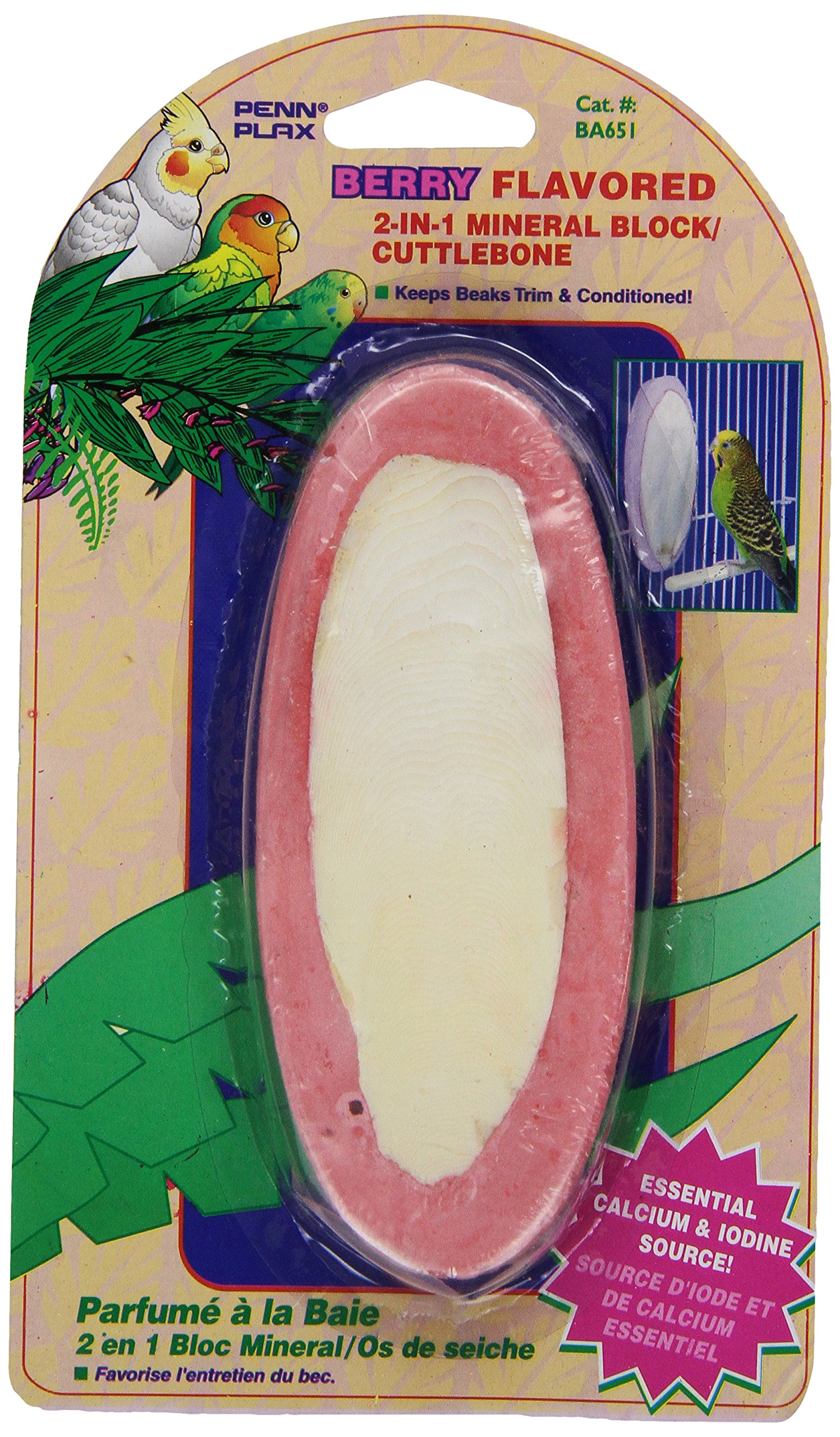 Os de seiche minéral Penn-Plax fruits rouges