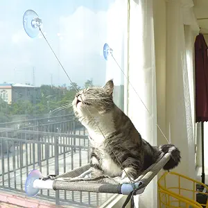 Best Cat Window Hammocks 2026: 3 Safer Alternatives Compared