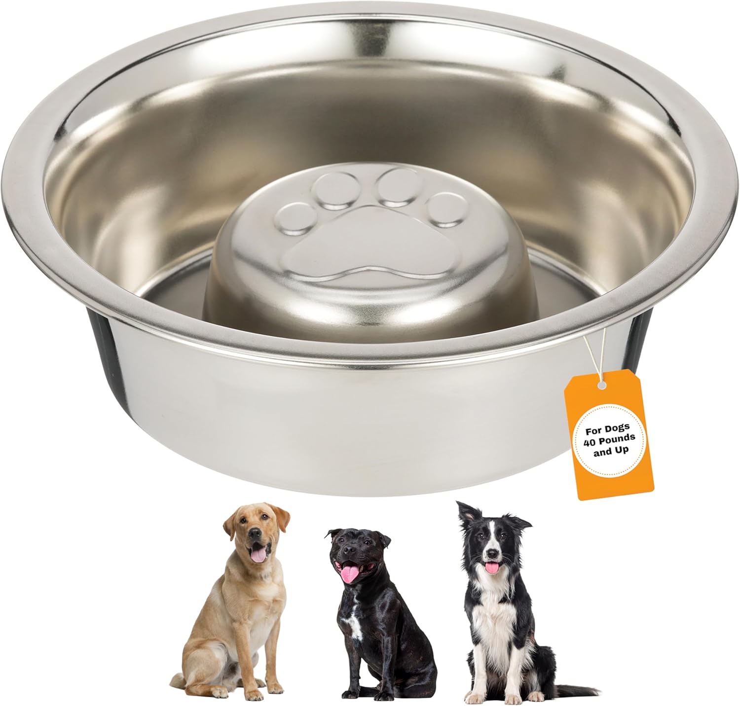 Neater Pet Brands Stainless Steel Slow Feed Dog Bowl