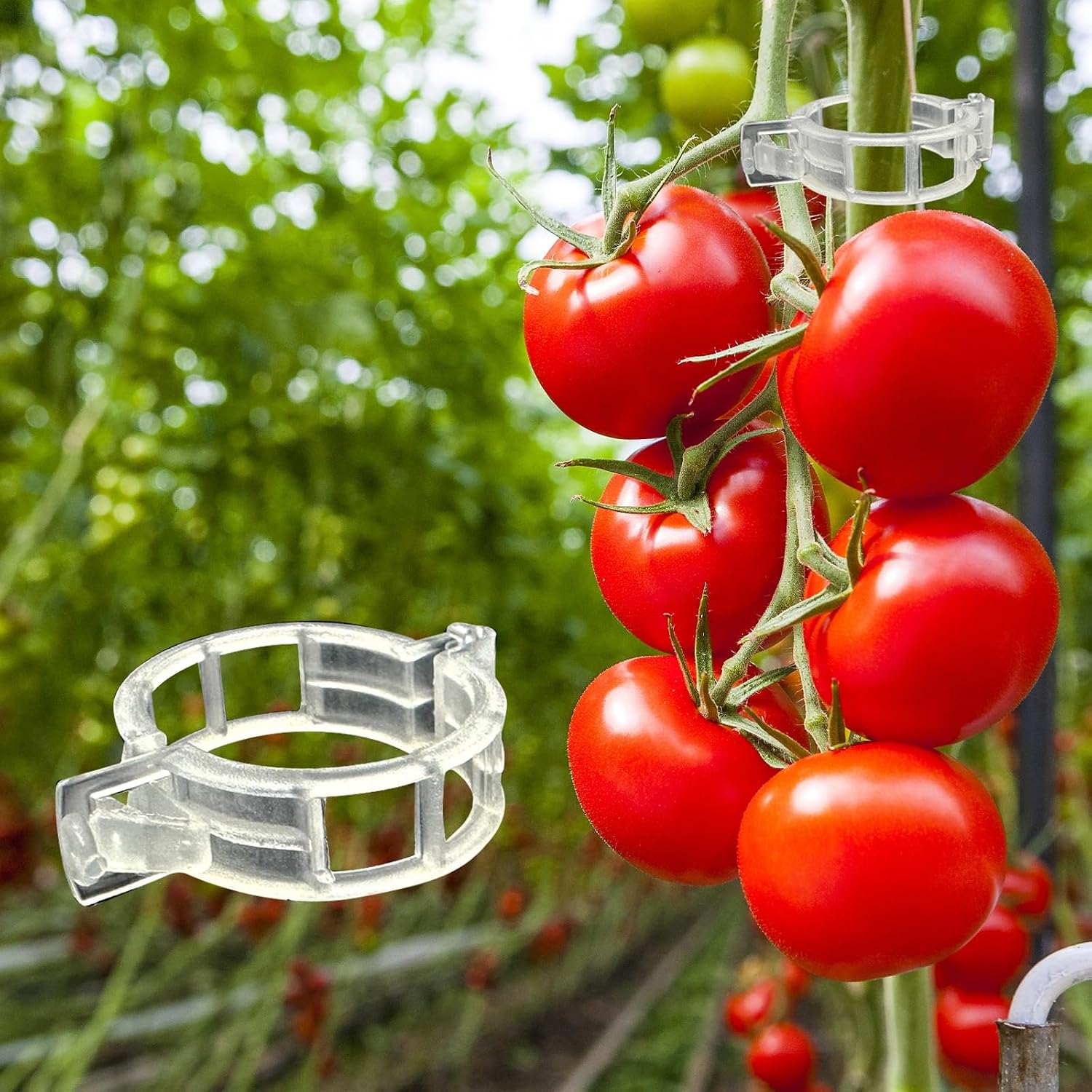 Dalzom 300-Piece Tomato Clips