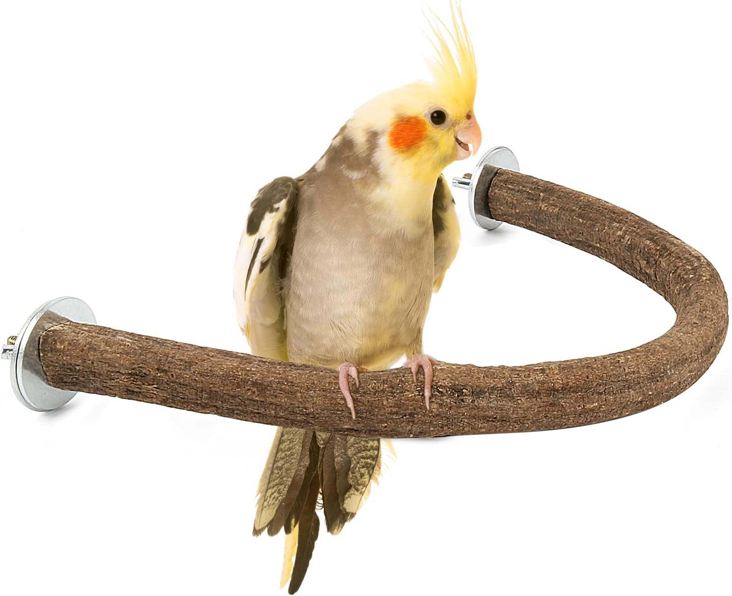 Best Cockatiel Perches in 2026: 3 Safer Cage Picks
