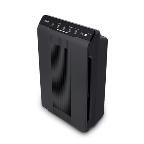 Winix 5500-2