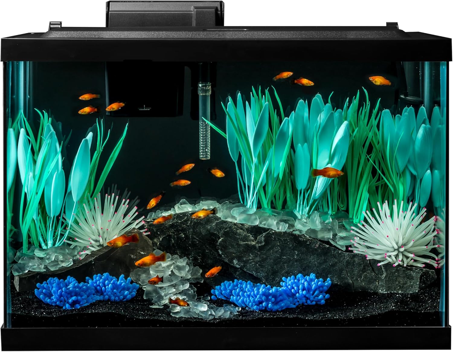 De beste startersaquariumkits voor beginners in 2026