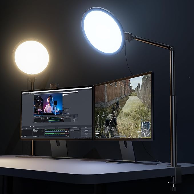 Weilisi 10.2-inch Desk Ring Light