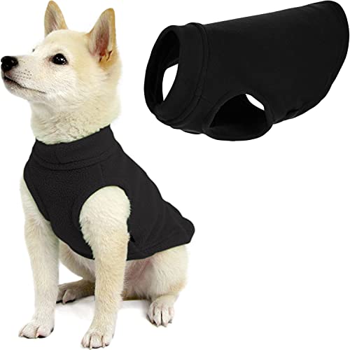 3 essential dog sweaters for 2026: practical picks for dry cold