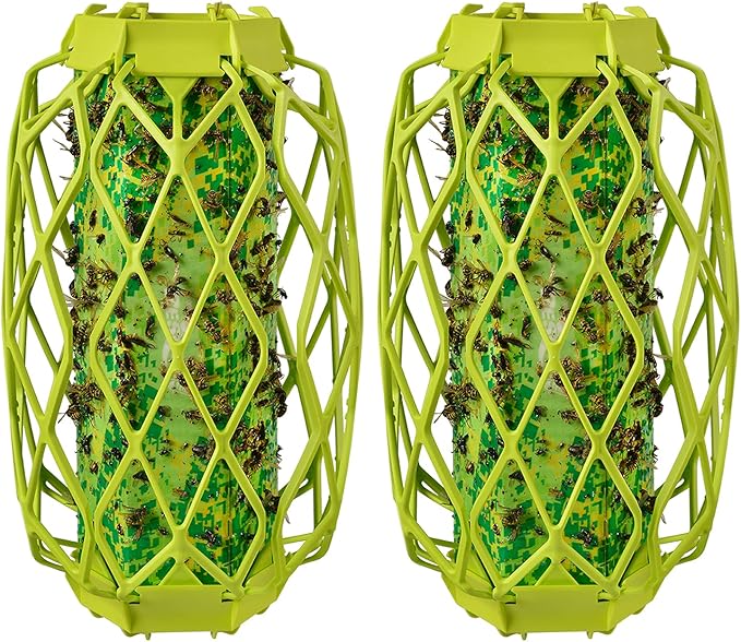 Best Outdoor Wasp Traps in 2026: A Guide to Safer Patios
