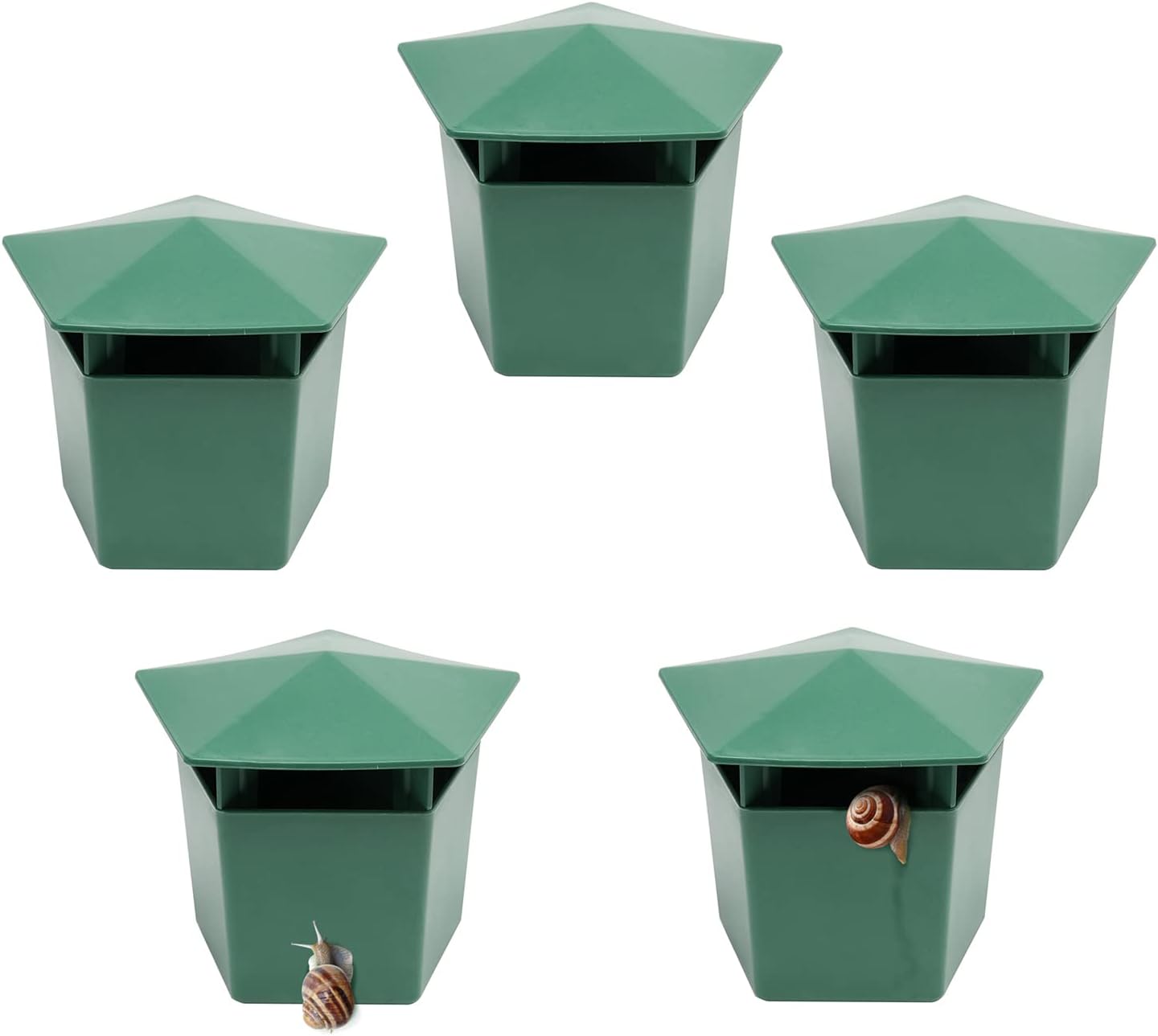 Beslands 5-Piece Snail Traps