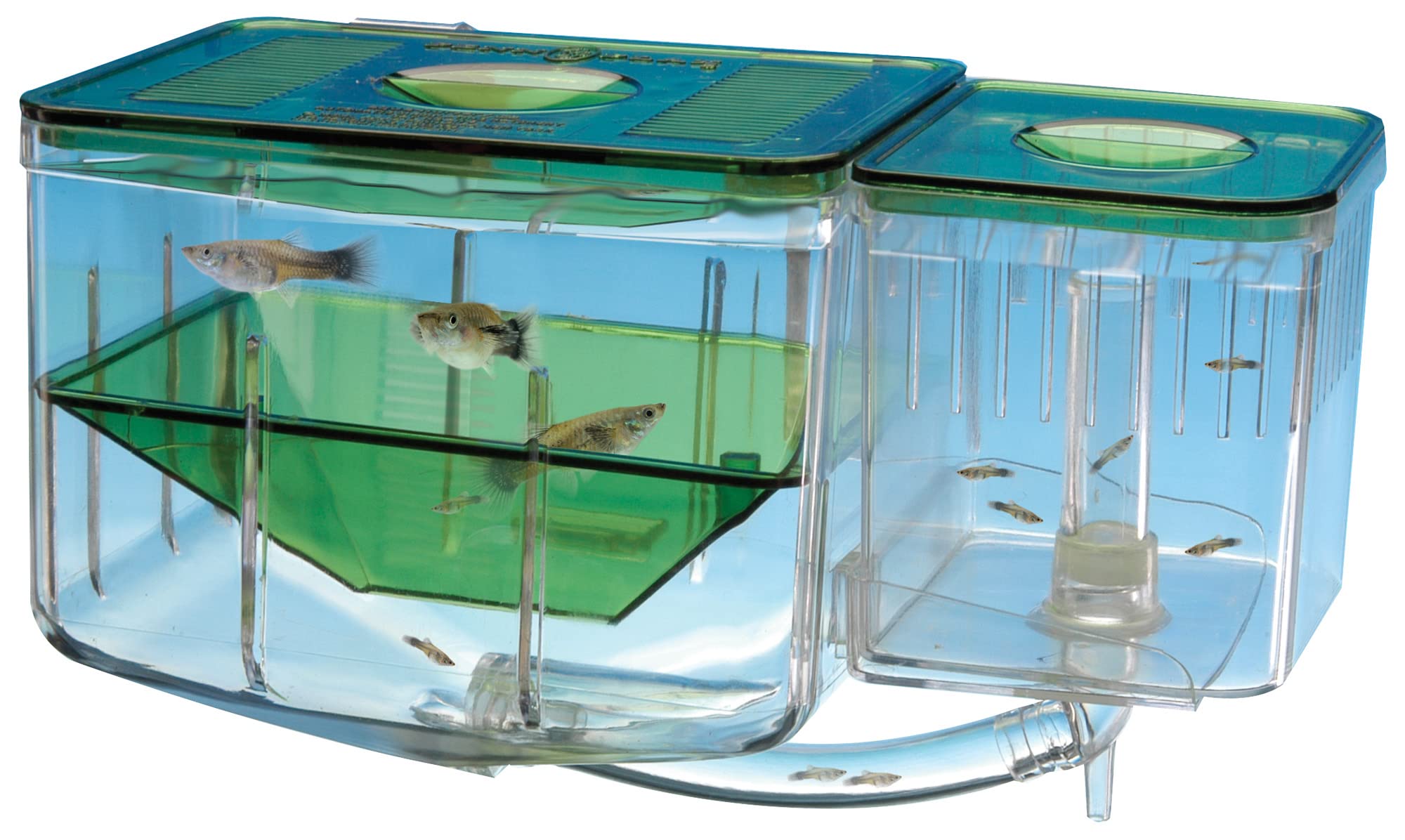 Penn-Plax Aqua Nursery AN2