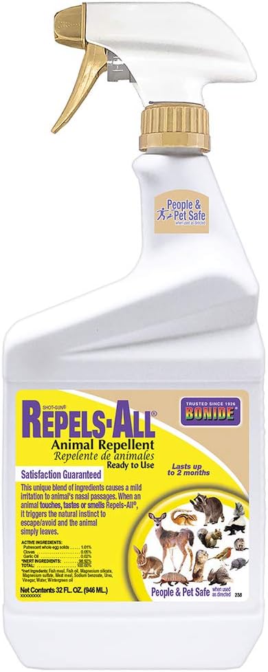 Best Garden Rabbit Repellents for Protecting Beds in 2026