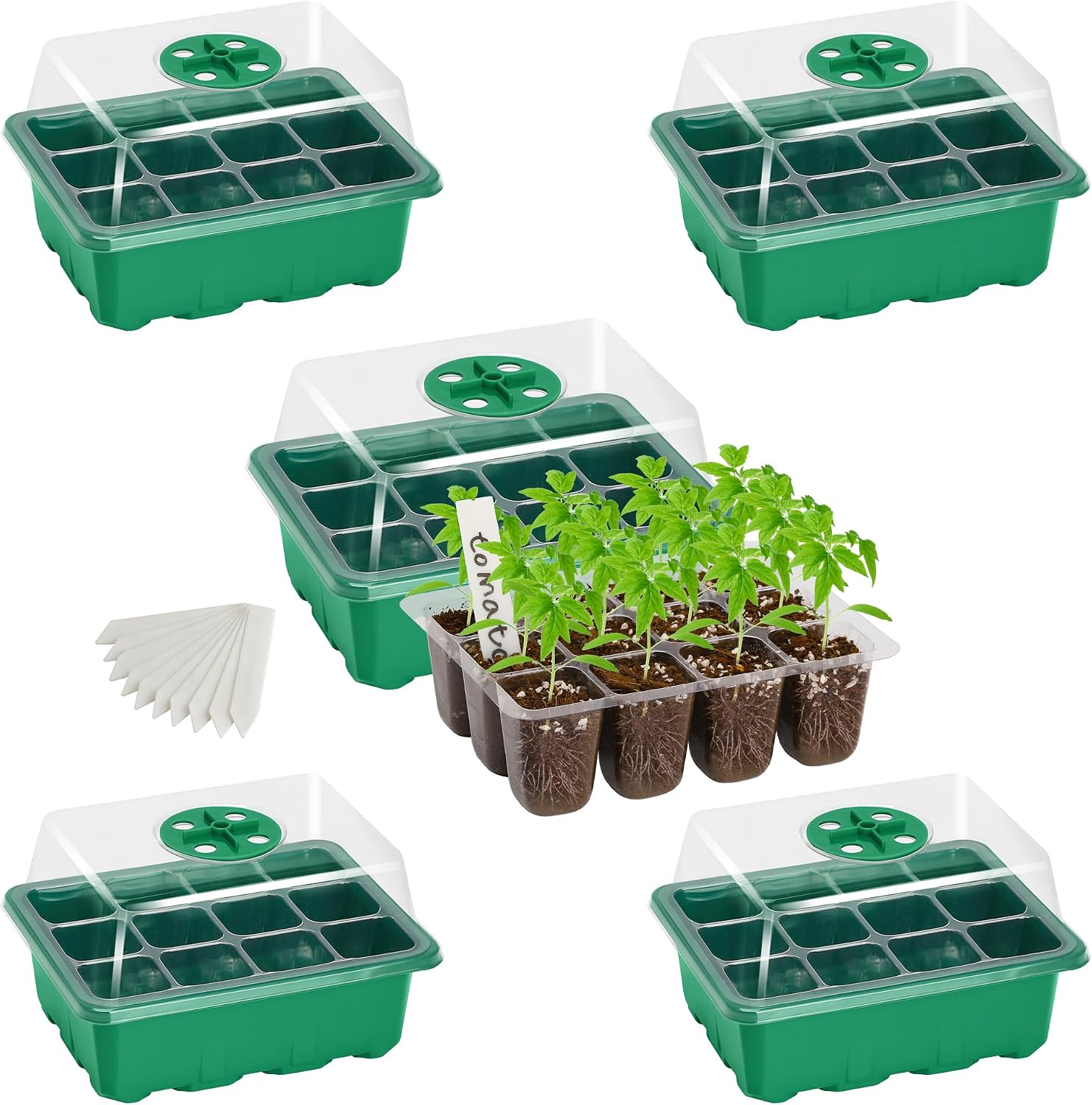 Bonviee 5-Pack 12-Cell Trays