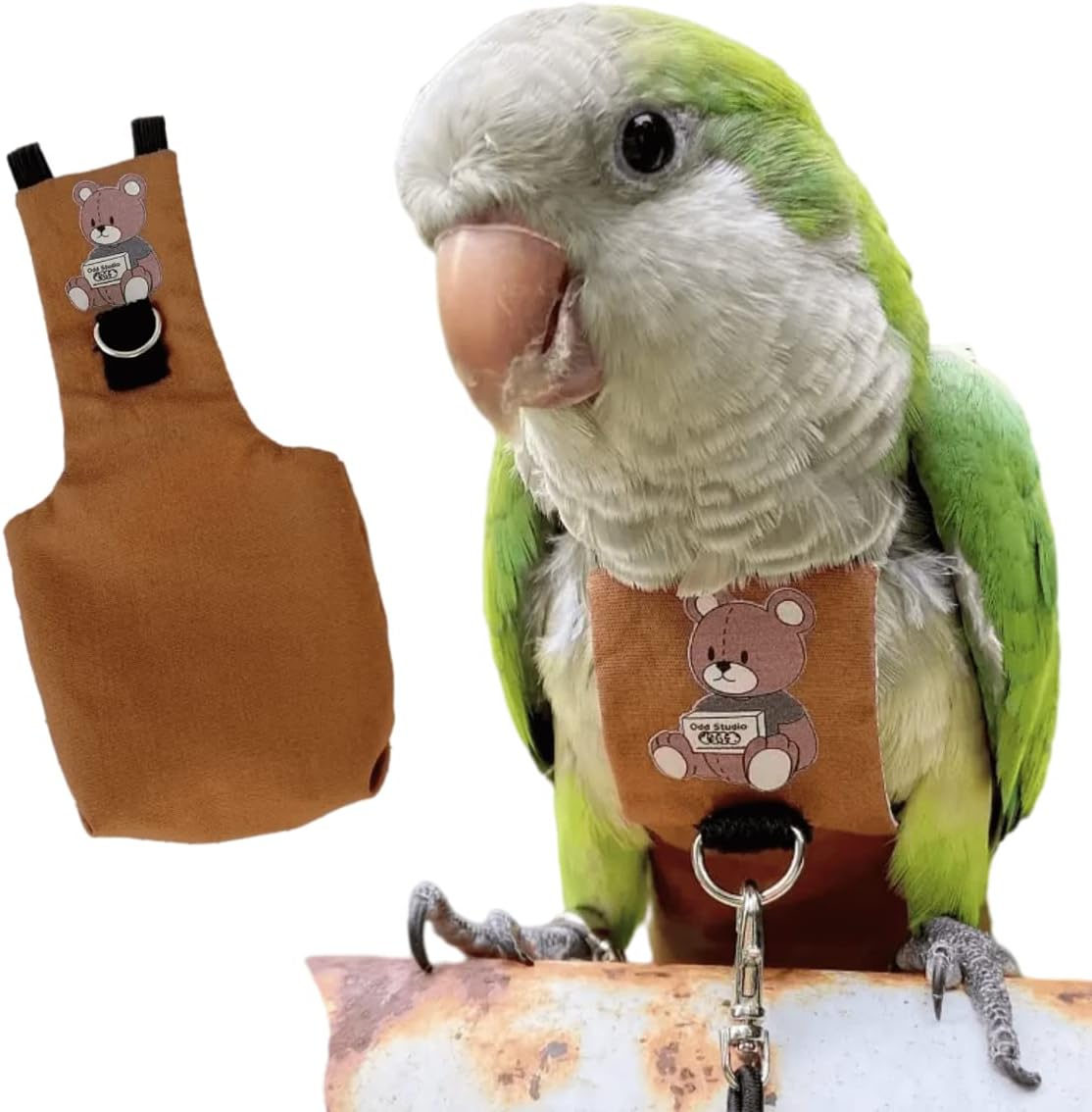 Vogelbroekharnas voor Hahnara