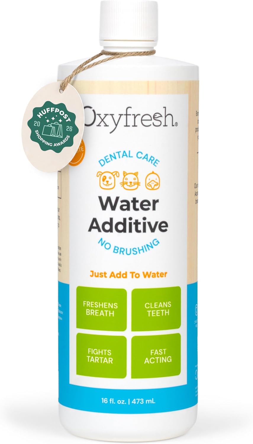 Best Dog Dental Water Additives for Easier Daily Oral Care in 2026