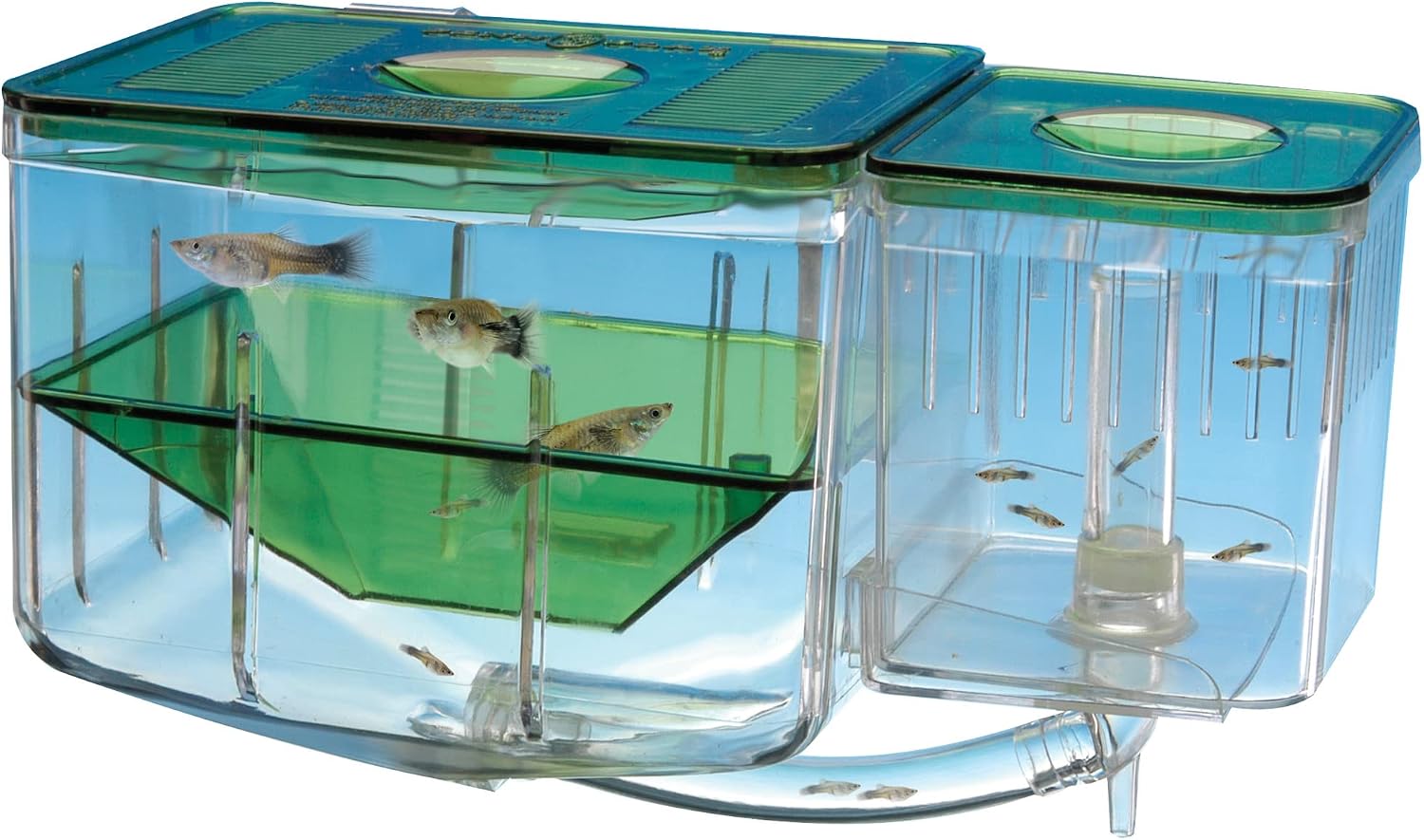 Penn-Plax AN2 Aqua Nursery