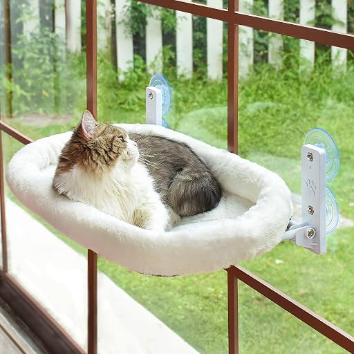 Best Cat Hammock Window Perches in 2026: 3 Secure Picks