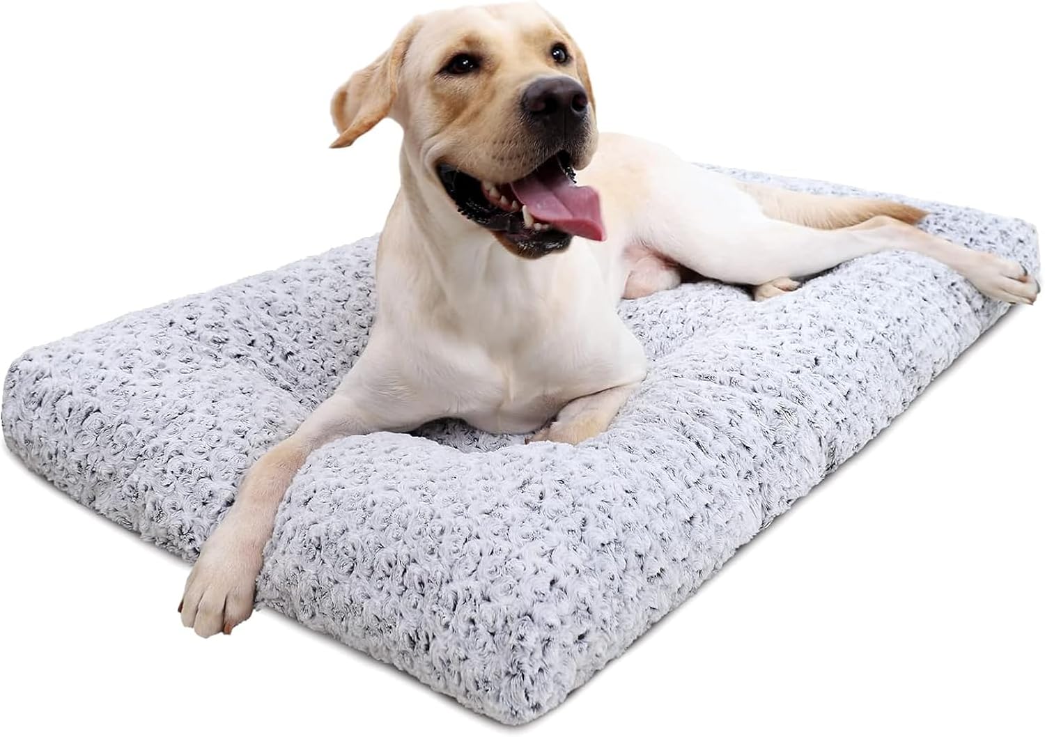 Best Dog Crate Mats in 2026: 3 Comfortable Picks Compared