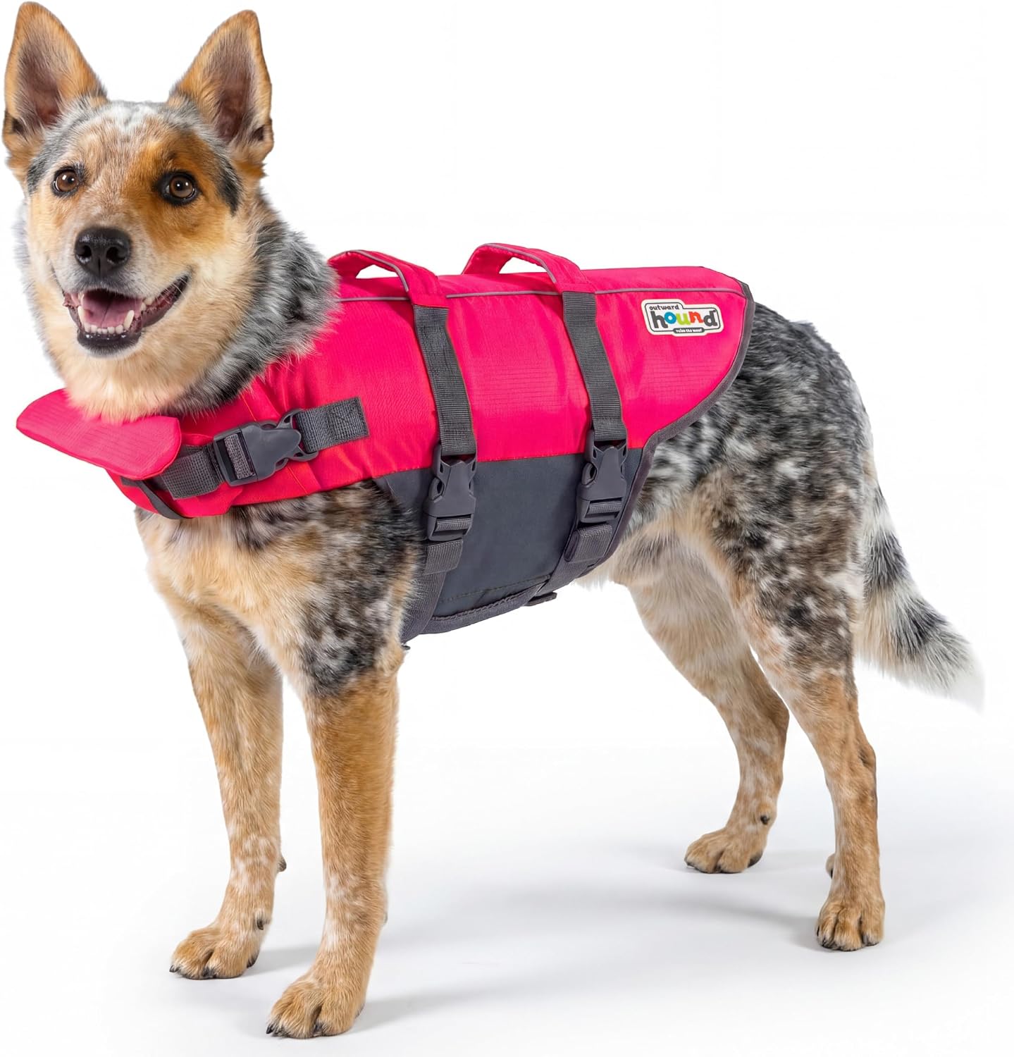 Outward Hound Granby Splash