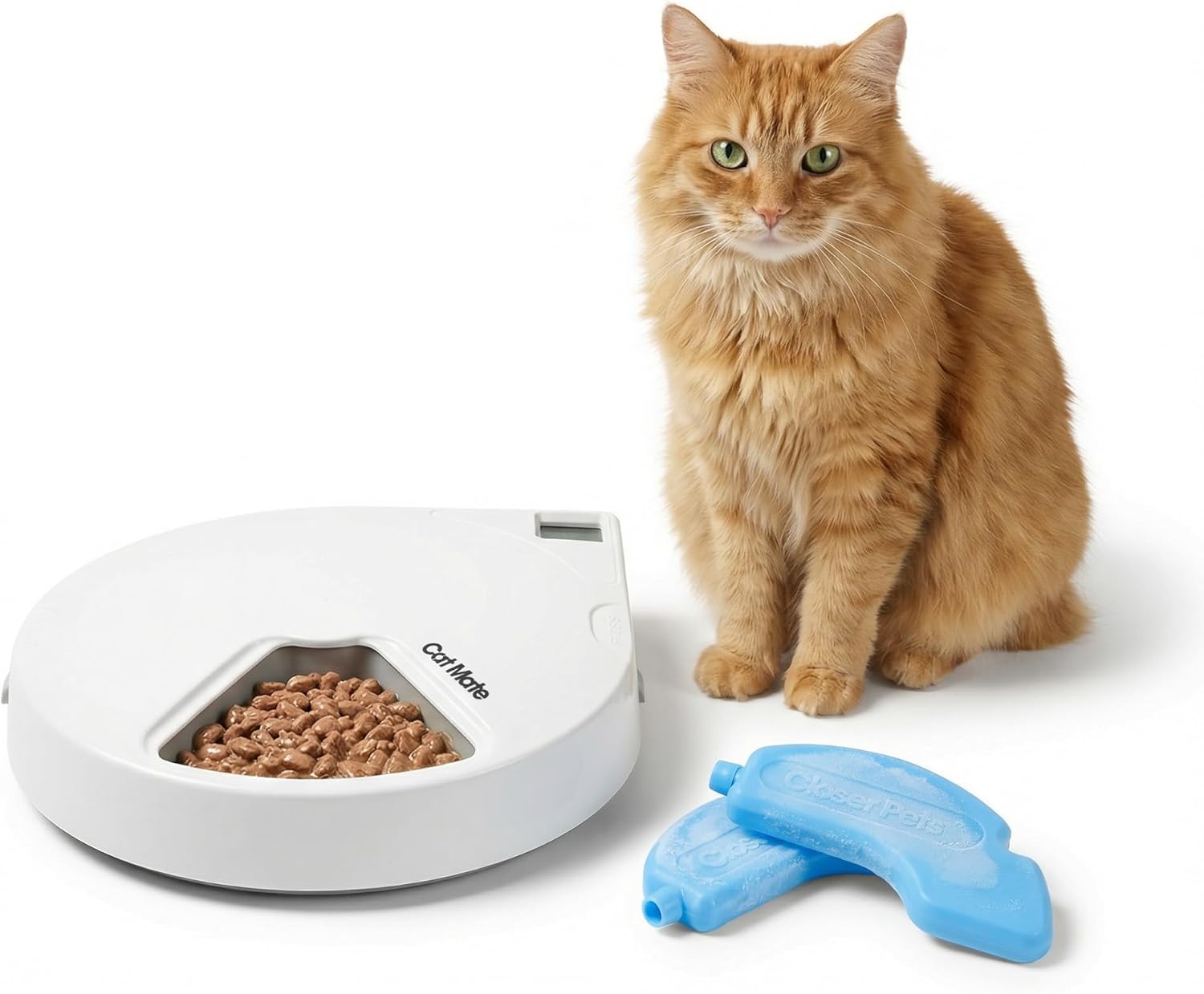 Cat Mate C500 Automatic Pet Feeder with Digital Timer