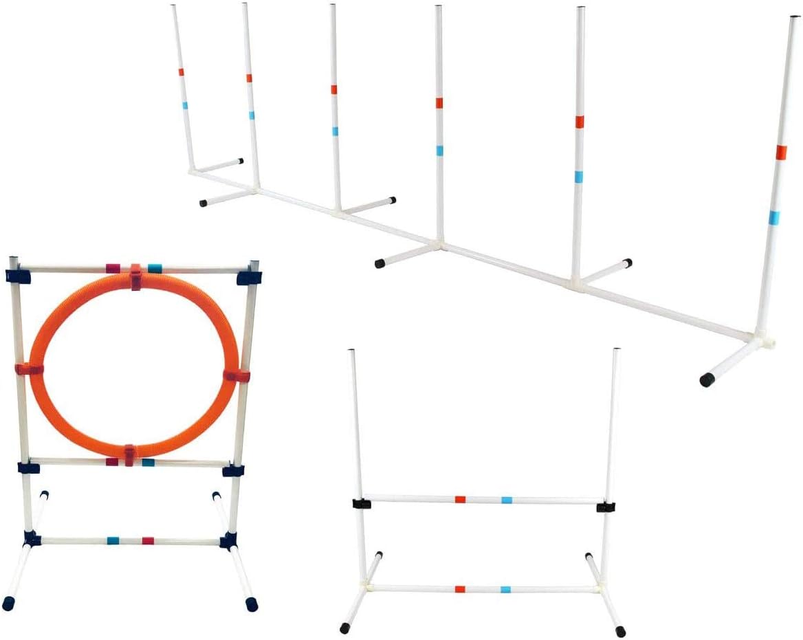 Midlee beginners agilityset