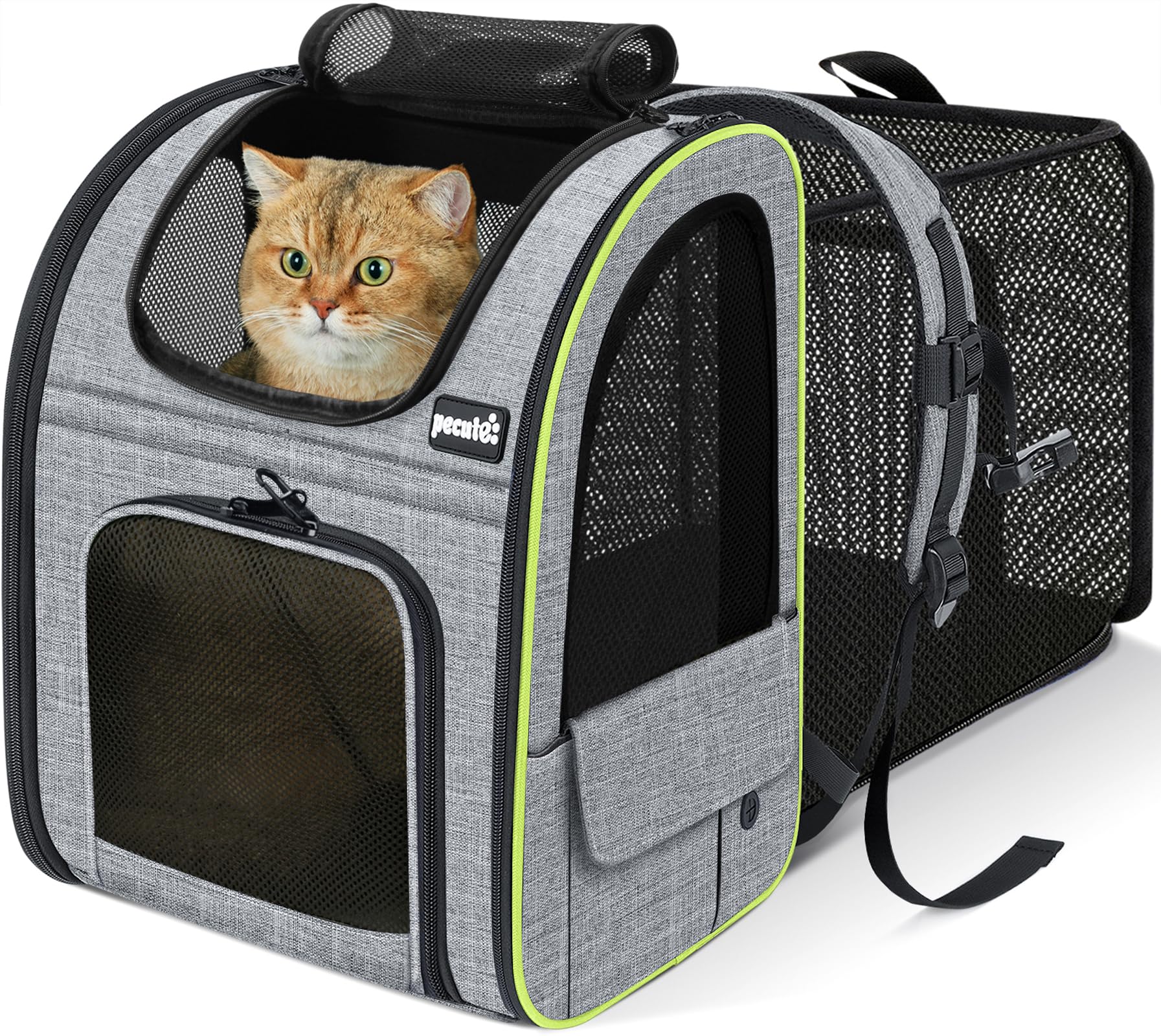 Pecute Expandable Pet Backpack