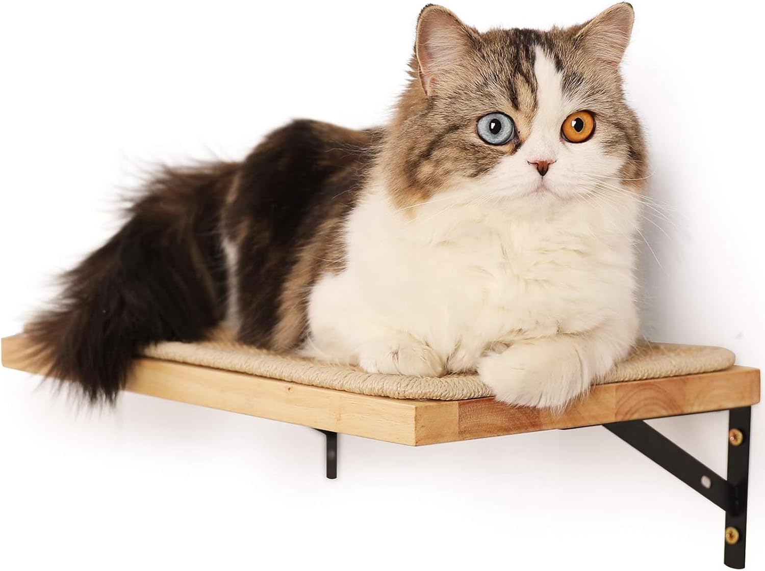 Best Cat Wall Shelves 2026: 3 Essentials for a Safer Cat Highway