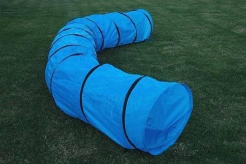 Best Dog Agility Tunnels 2026: Are They Worth It?