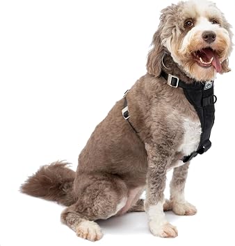 Kurgo Tru-Fit Smart Harness