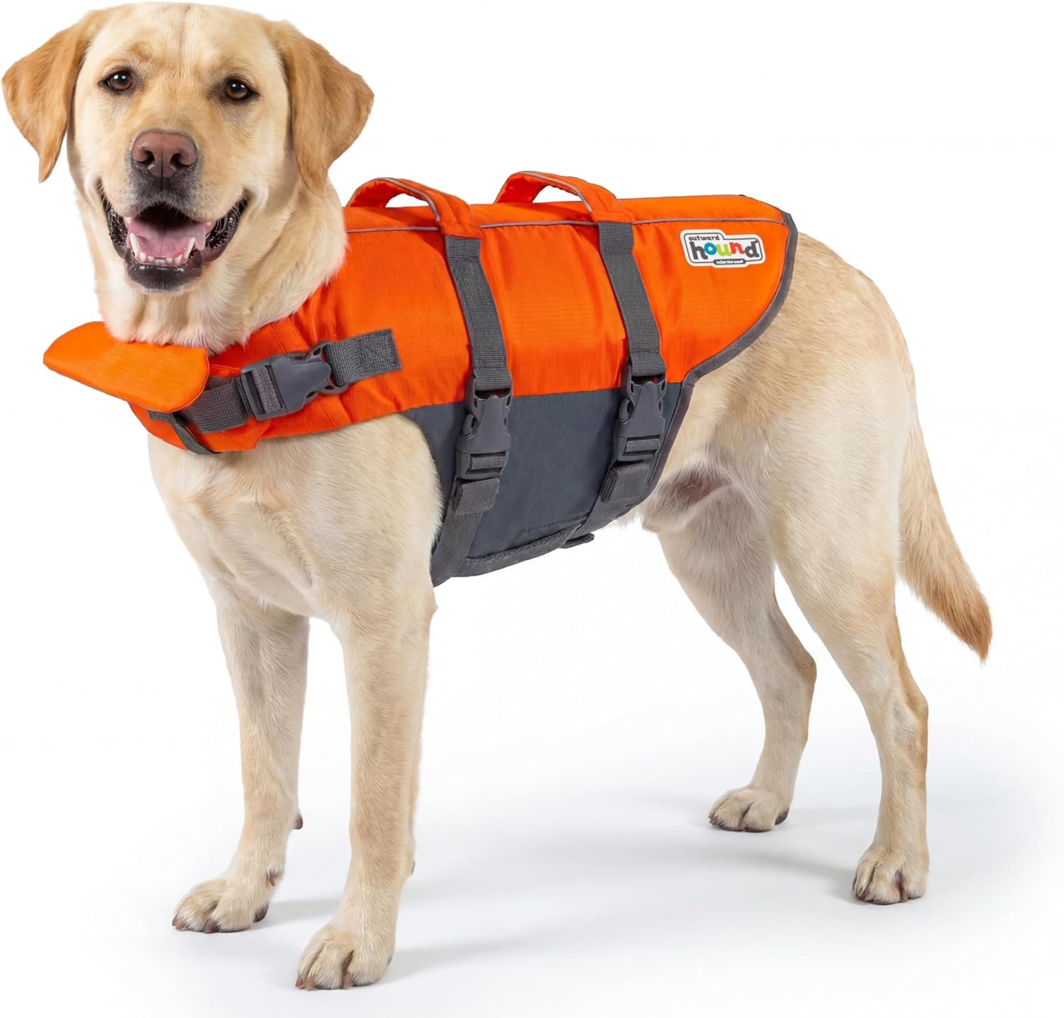 Best Dog Life Jackets in 2026: 3 Secure Swim Vests Compared