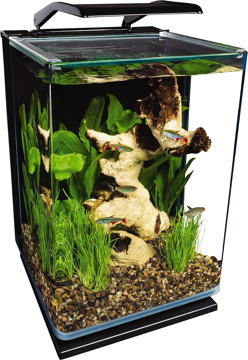 MarineLand Portrait Kit de acuario de cristal con LED (5 galones)