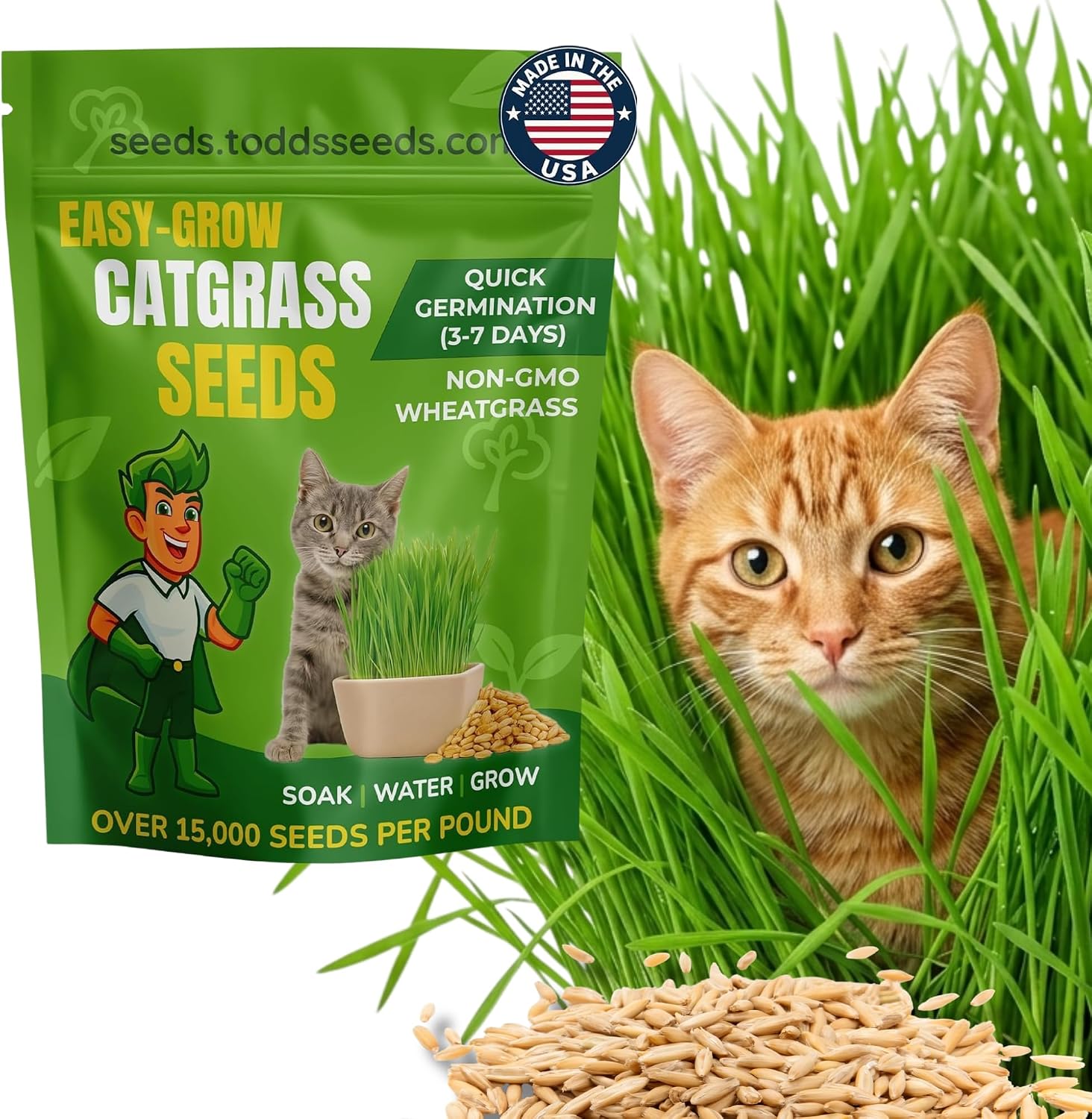 Todd's Seeds Cat Grass Seeds for Indoor Cats, 1lb Non-GMO | Best value, our largest bag. Hairball relief & digestive aid for cats. Also great for juicing & smoothies.