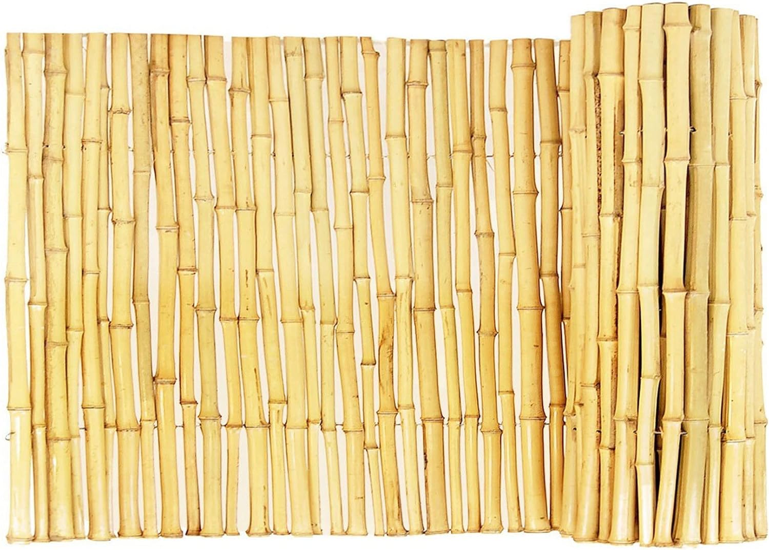 FOREVER BAMBOO 3 x 8 ft Rolled Bamboo Fence