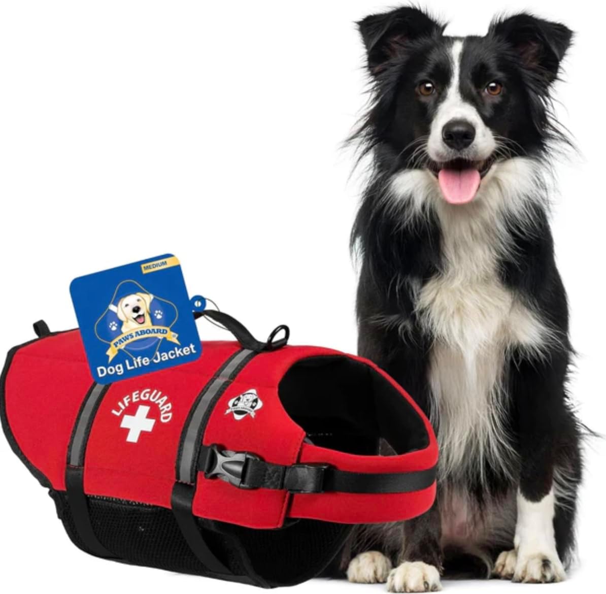 Paws Aboard Dog Life Jacket