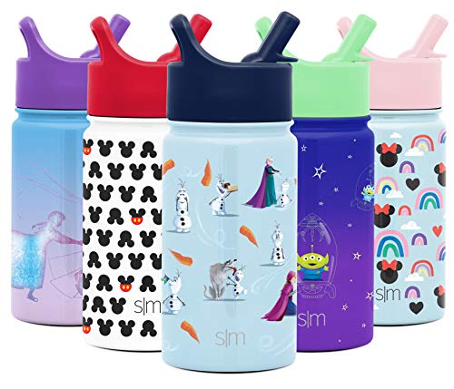 Simple Modern Disney Summit 14 oz