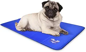 Arf Pets Solid Gel Cooling Mat
