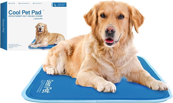 Best Cat Cooling Mats 2026: 3 Comfortable Picks for Hot Days