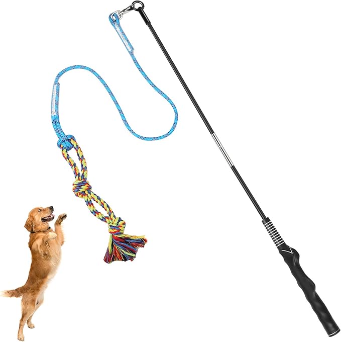 DIBBATU Interactive Flirt Pole
