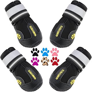 Las mejores botas para perros en 2026