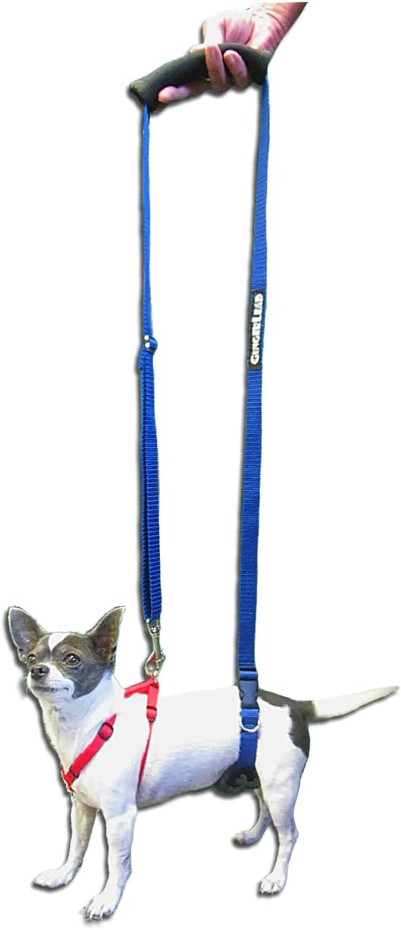 GingerLead X-Small Dachshund Sling